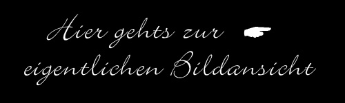 Zum Auge des WeltenWandlers