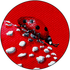 Detail Glückskäfer