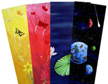 Betrachten Sie meine Neuheiten