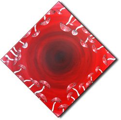 lumen arcanum: PilzPortal porta fungorum