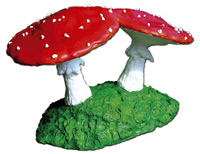 Siamesiche Zauberpilze 