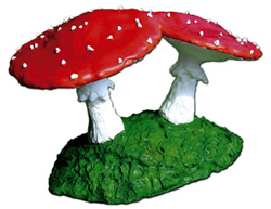 Siamesische ZauberPilze 